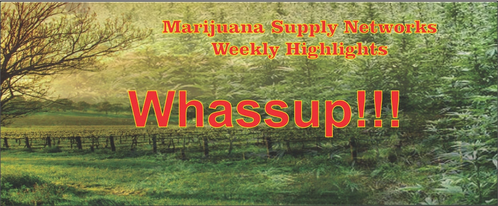 Cannabis Business and Success!