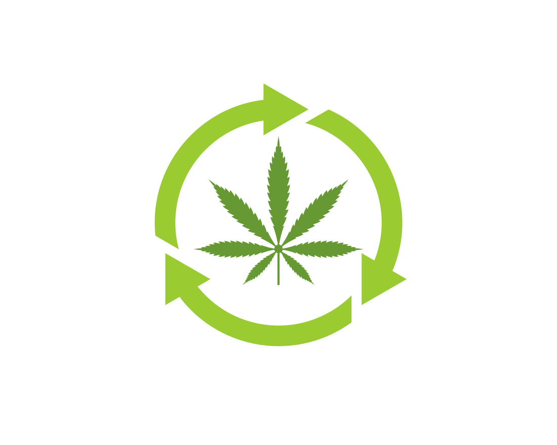 Why Everyone Should use Biodegradable Marijuana Packaging My Supply Networks