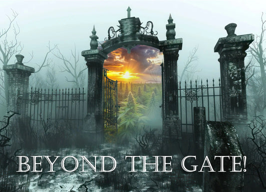 🌿🍹 Cannabis isn’t the gateway — it’s the getaway. 🚪✨🍃 My Supply Networks