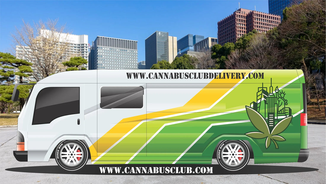 New Laws Allow Delivery of Cannabis in New York: What You Need to Know My Supply Networks