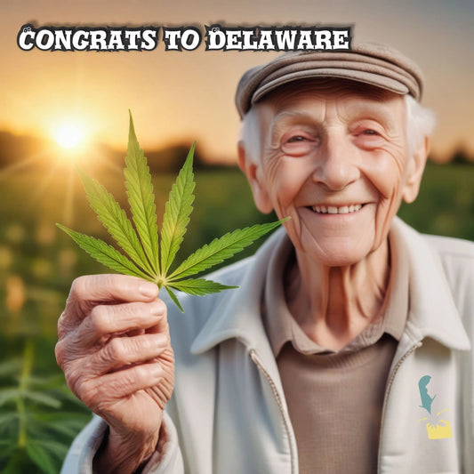 Delaware Cannabis Market 2025: Packaging, Regulations & Growth My Supply Networks