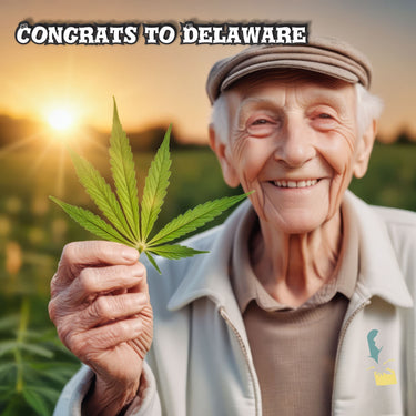 Delaware Cannabis Market 2025: Packaging, Regulations & Growth
