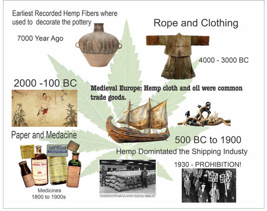 Let’s get our timeline straight before we get lit with history. The 5th millennium BC means about 7,000 years ago — that’s roughly 5000 to 4001 BC. by MSN packaging Inc
