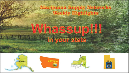 Alaska - Montana - New York - Utah My Supply Networks