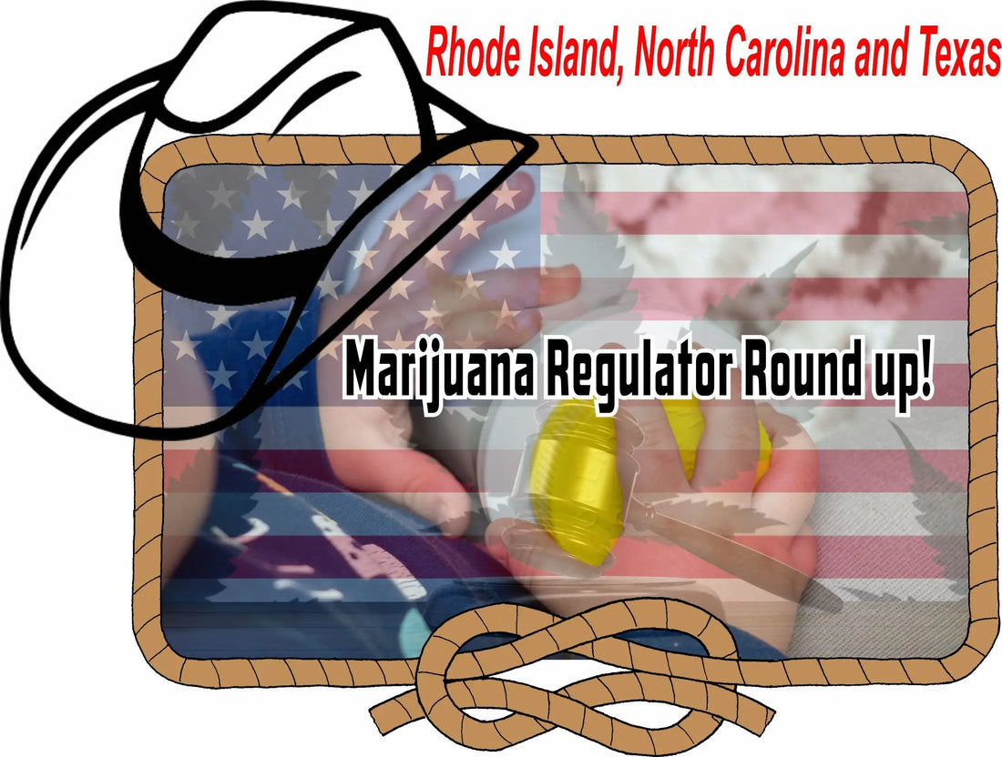 <p> </p> <p>Marijuana Regulatory Roundup: Updates from Rhode Island, North Carolina, and Texas</p> My Supply Networks