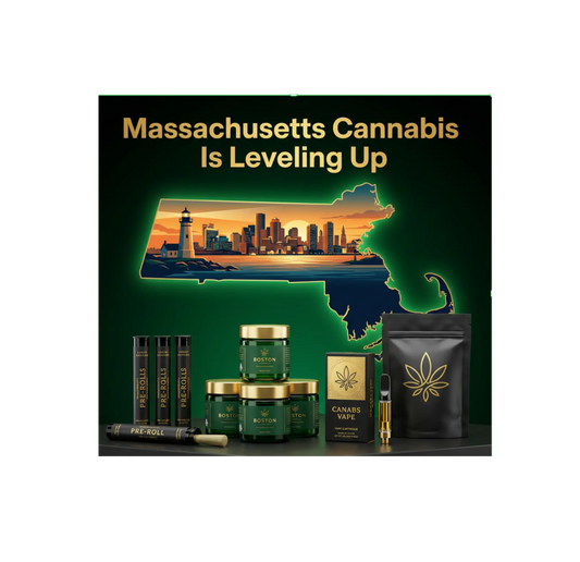 🌿 Massachusetts Cannabis Is Leveling Up — Here’s Who’s Winning (and What’s Selling) My Supply Networks