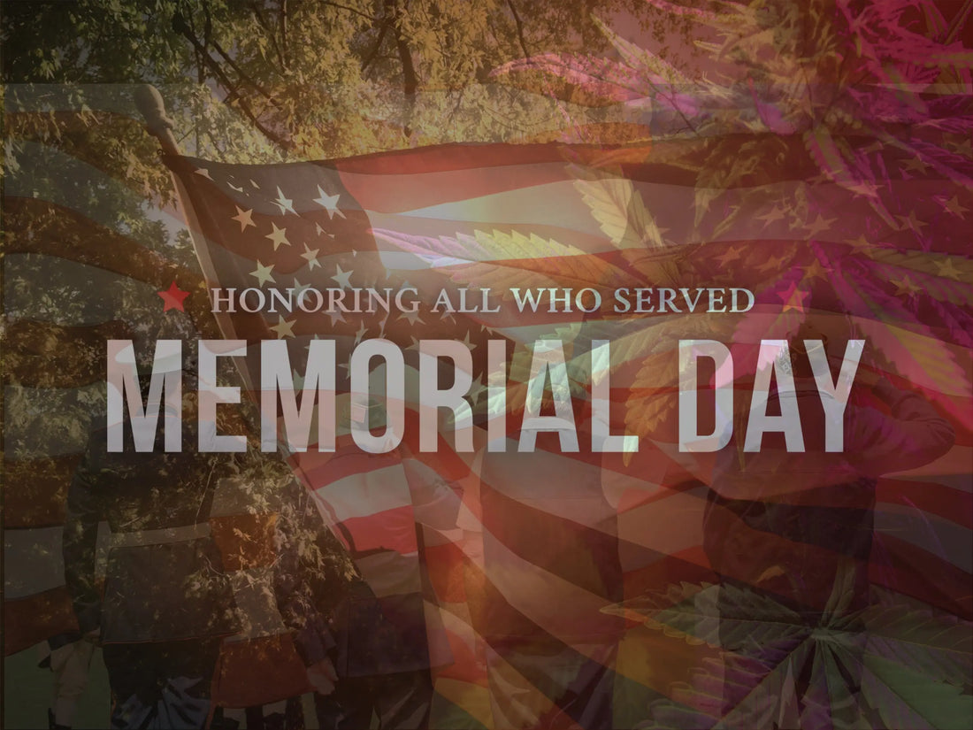 Honoring Veterans and Supporting Success: Memorial Day Reflections in the Cannabis Industry My Supply Networks