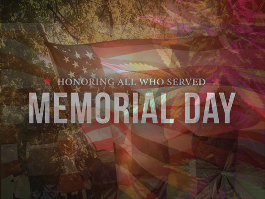 Honoring Veterans and Supporting Success: Memorial Day Reflections in the Cannabis Industry My Supply Networks