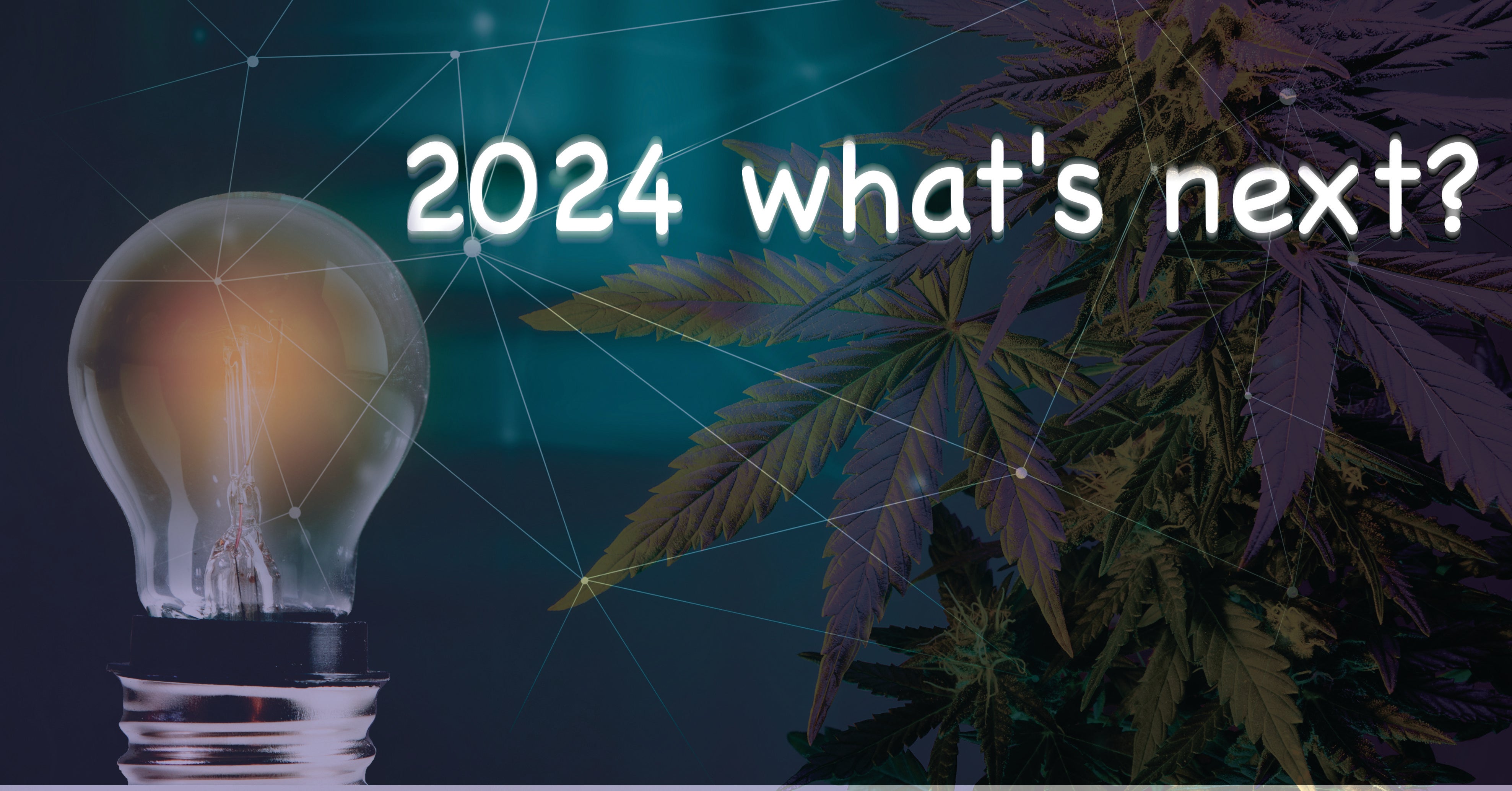 What news for 2024 in cannabis child resistant and non child resistant packaging by MSN Packaging inc. 