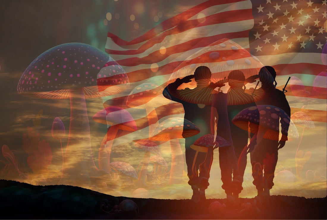 Benefits for Veterans  Psilocybin therapy and the packaging by www.msnpackaging.com