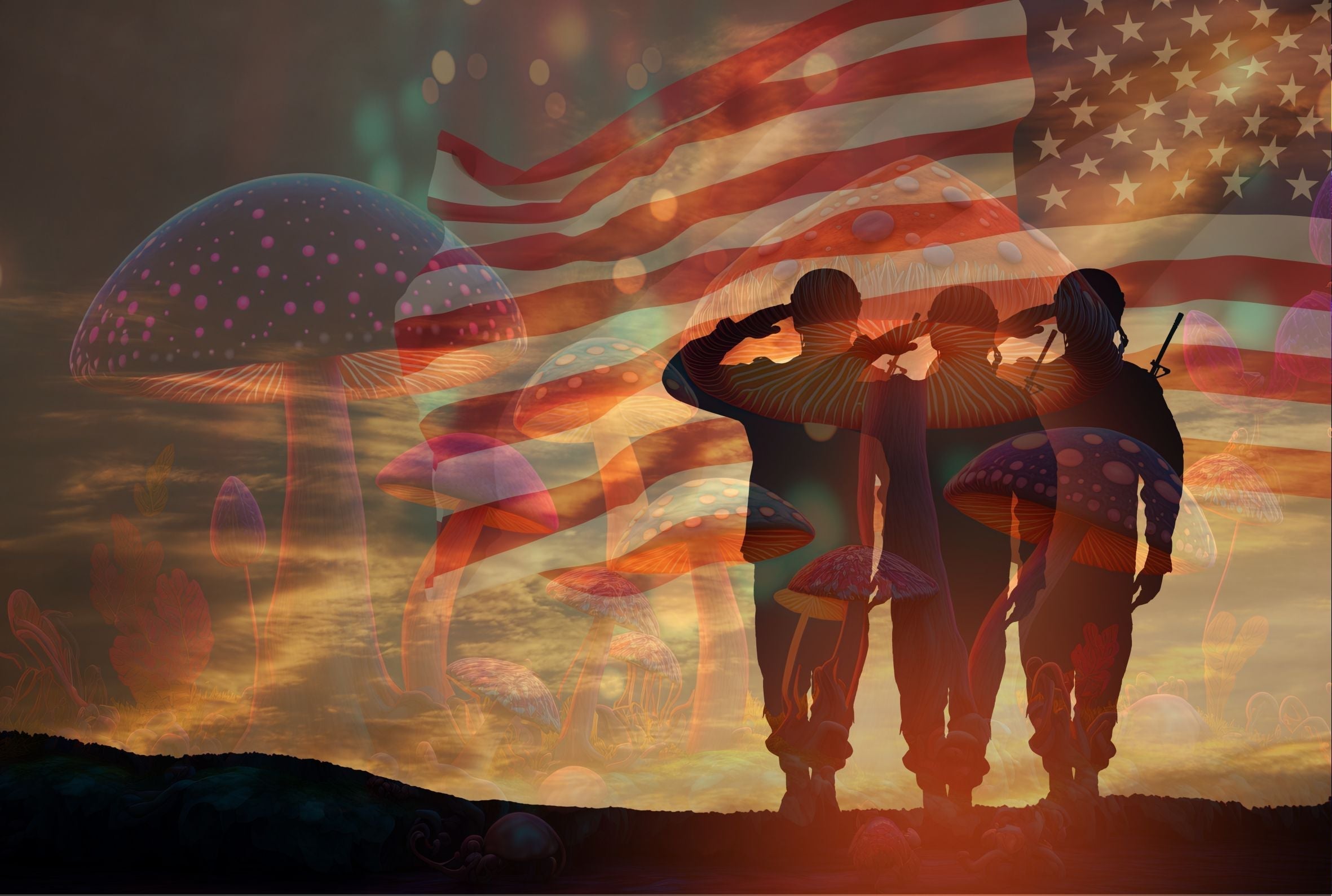Benefits for Veterans  Psilocybin therapy and the packaging by www.msnpackaging.com