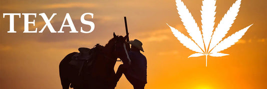 Top Cannabis-Infused Products Gaining Prominence in 2022 My Supply Networks