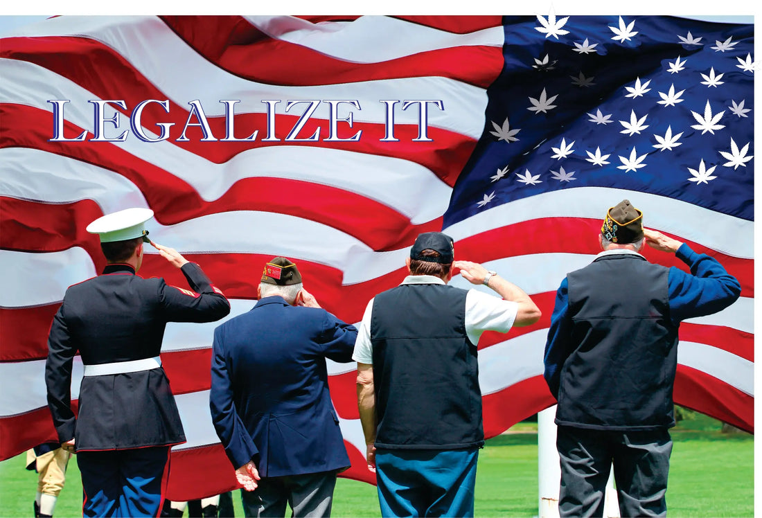 Veterans and Legal Cannabis in 2023 My Supply Networks
