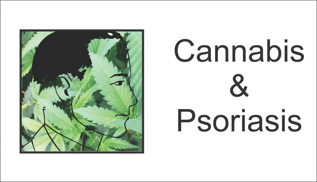 Cannabis and Psoriasis My Supply Networks