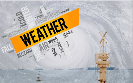 420 Winter Supply Chain and the Holidays My Supply Networks