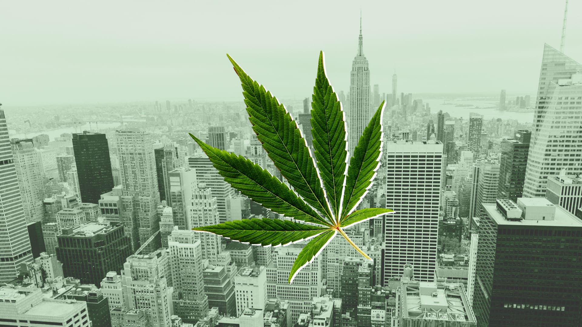 Top Trends Among Growers/Producers in New York