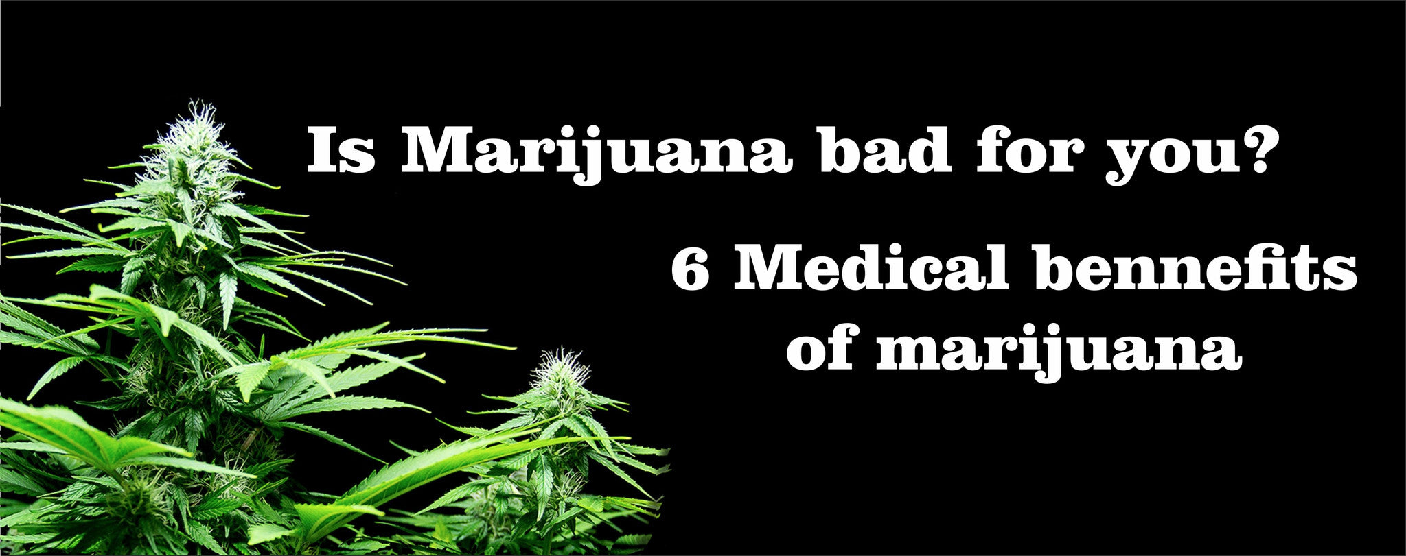 6 Reasons Marijuana should be Legalized.