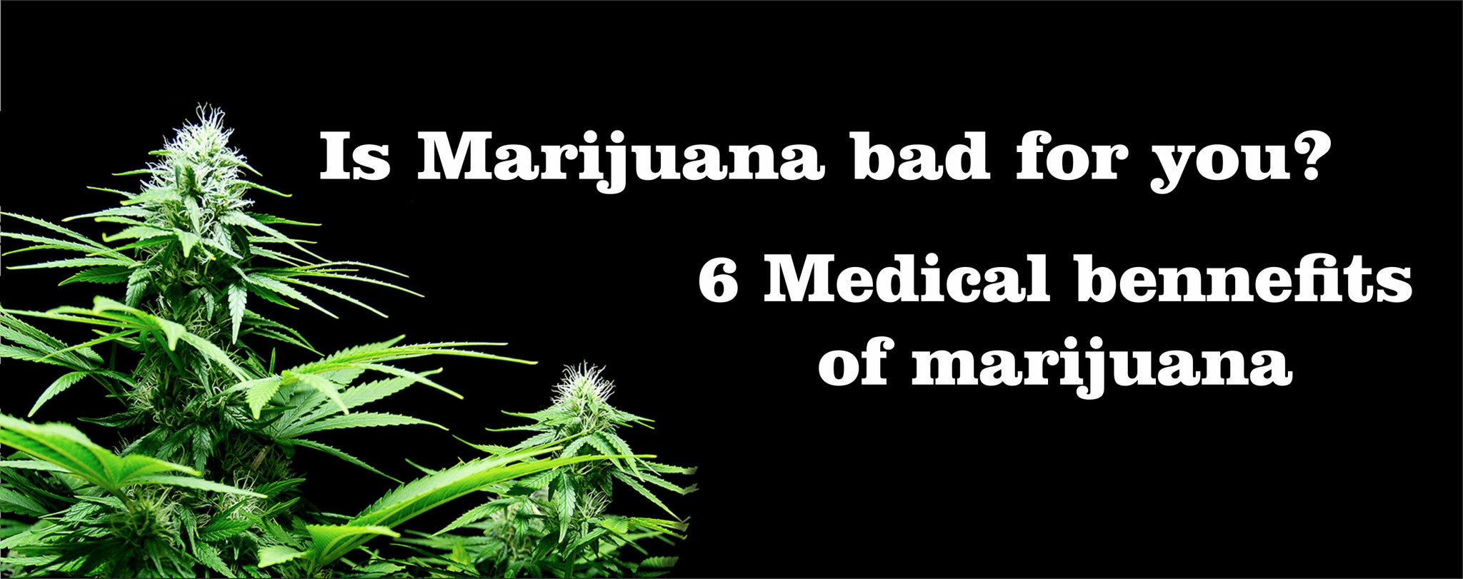 6 Reasons Marijuana should be Legalized.