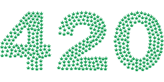 What's So Special About 420? What is it? My Supply Networks