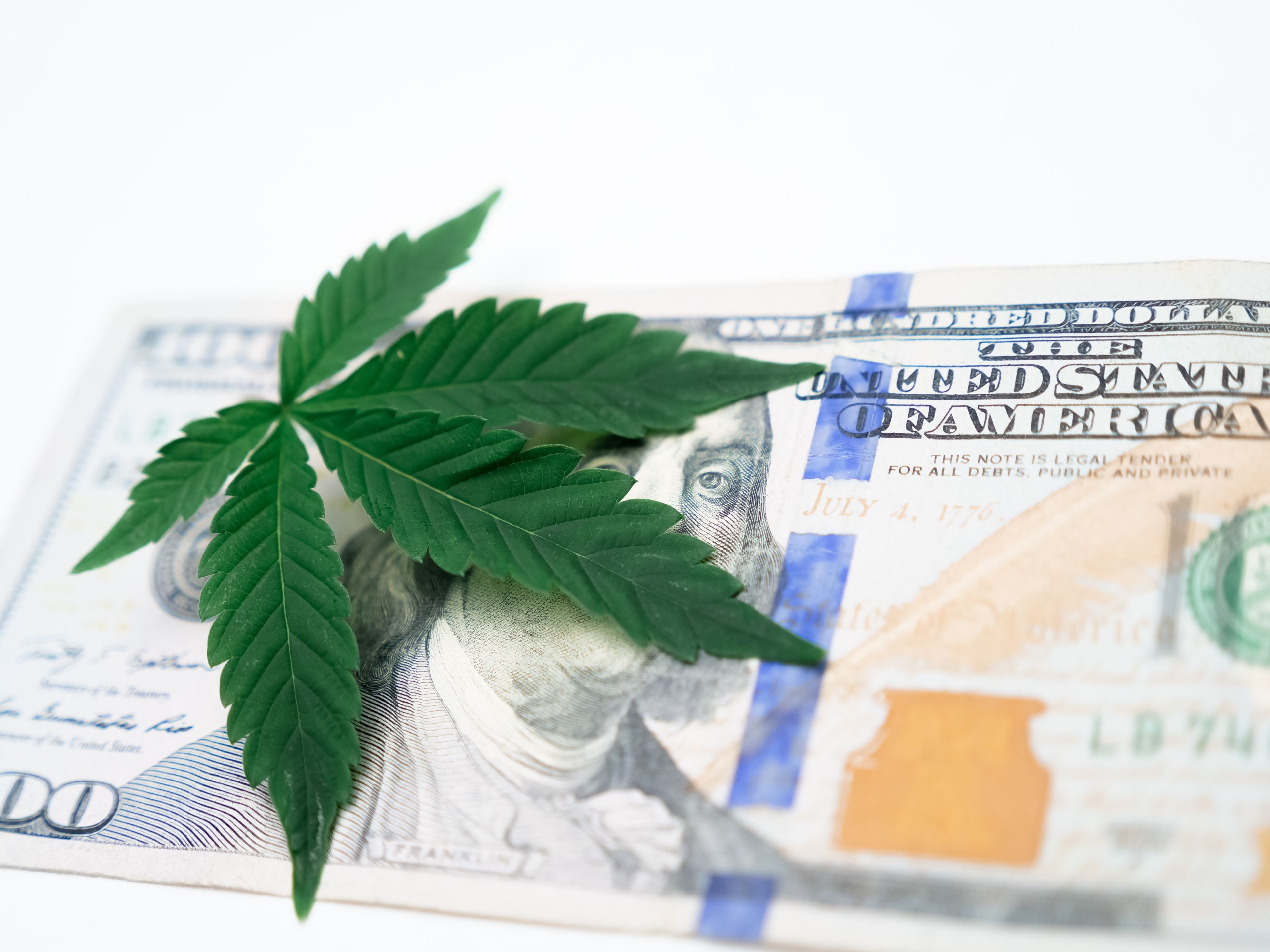 Why Won’t Federal Banks Accept Cannabis Business?