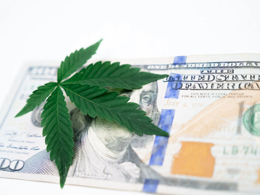 Why Won’t Federal Banks Accept Cannabis Business? My Supply Networks